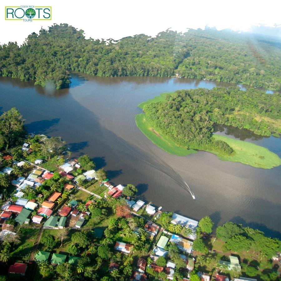 Miss Miriam. Hotel Frente Al Mar Tortuguero Bagian luar foto